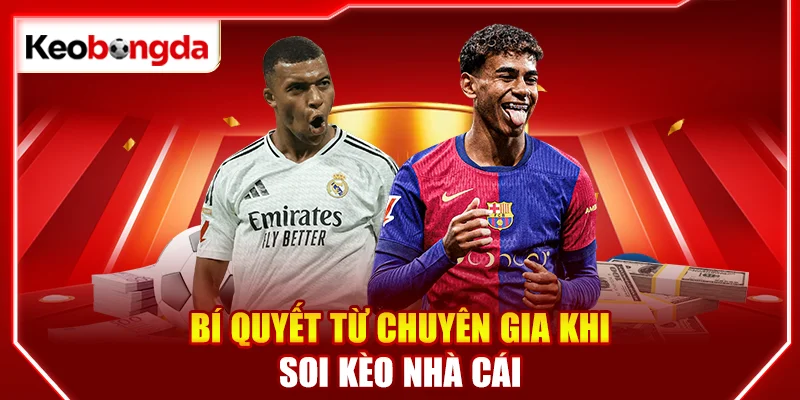 Bí quyết từ chuyên gia khi soi kèo nhà cái